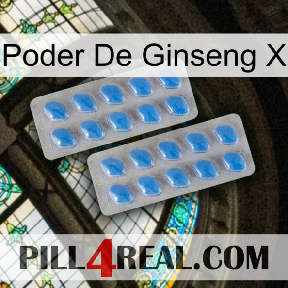 Ginseng Power X 23
